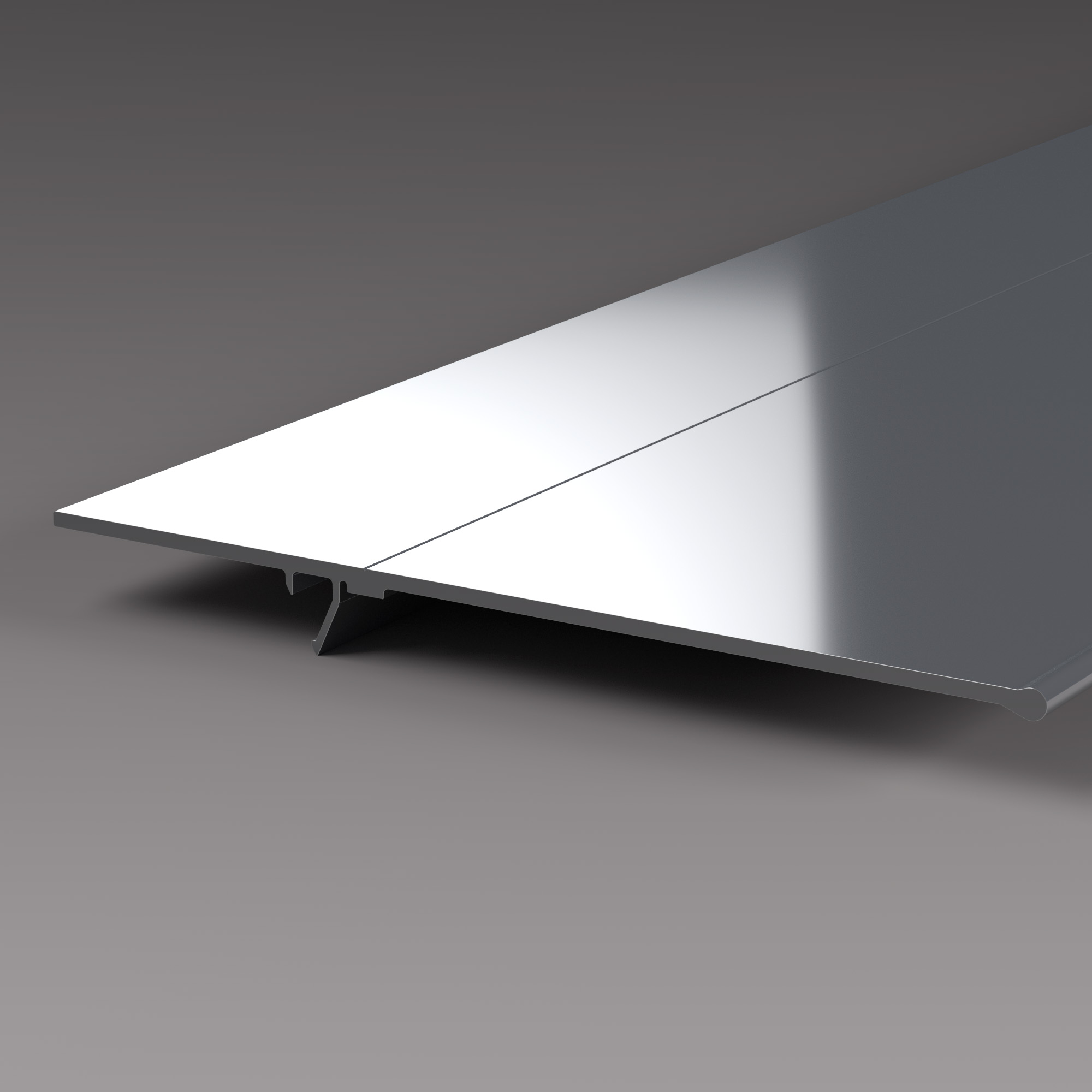 RAIL Abdeckprofil Rendering RAIL Abdeckprofil
