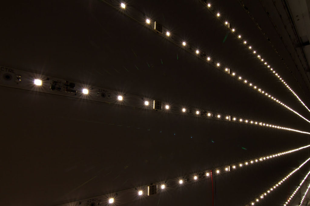 Detailansicht leuchtende LEDs